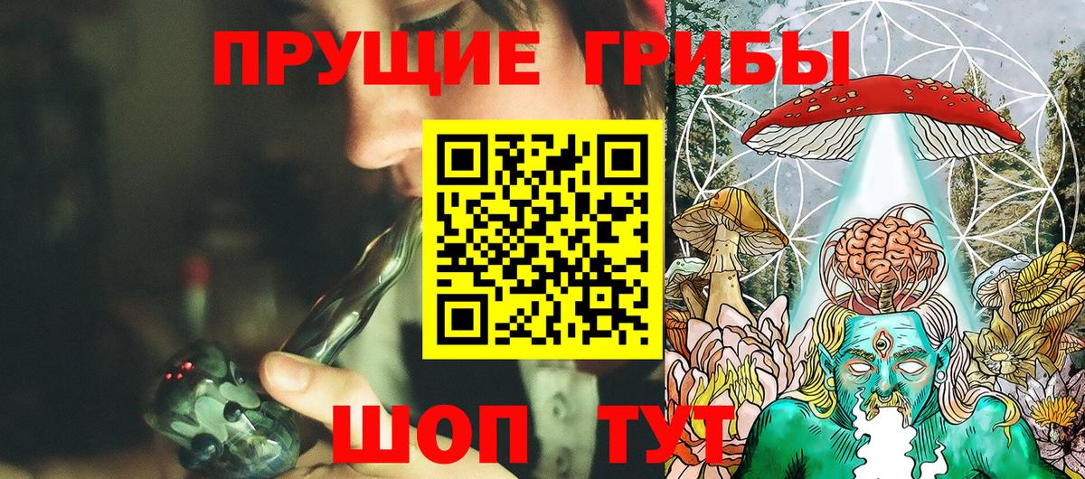 Псилоцибиновые грибы GOLDEN TEACHER  Галлюциногенные грибы мицелий  Вход с VPN  Гусиноозёрск 